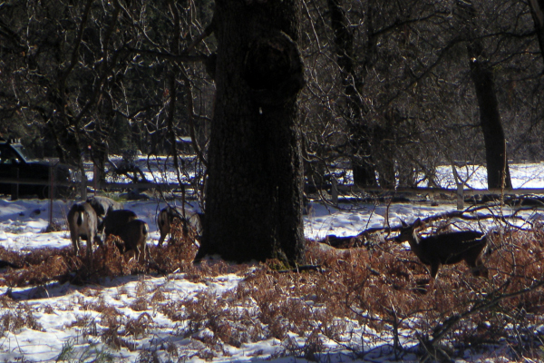 PICT1743_edited-1