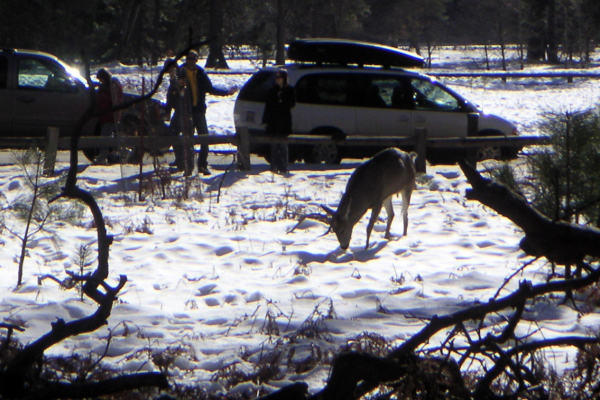 PICT1745_edited-1