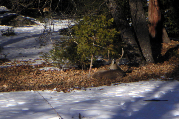 PICT1760_edited-1