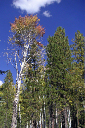 2006 Grand Canyon002_edited-1