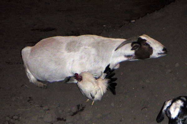 2006 LA County Fair009_edited-2