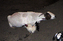 2006 LA County Fair009_edited-2
