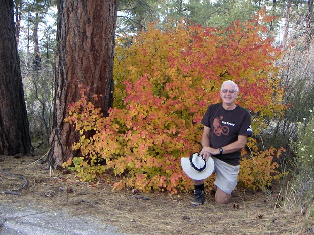 2006 Grand Canyon