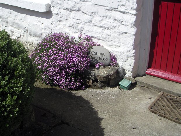 Ireland