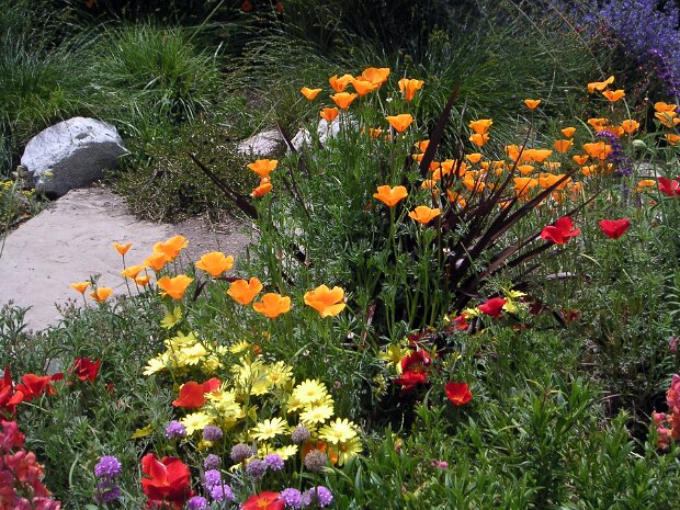 Descanso Gardens
