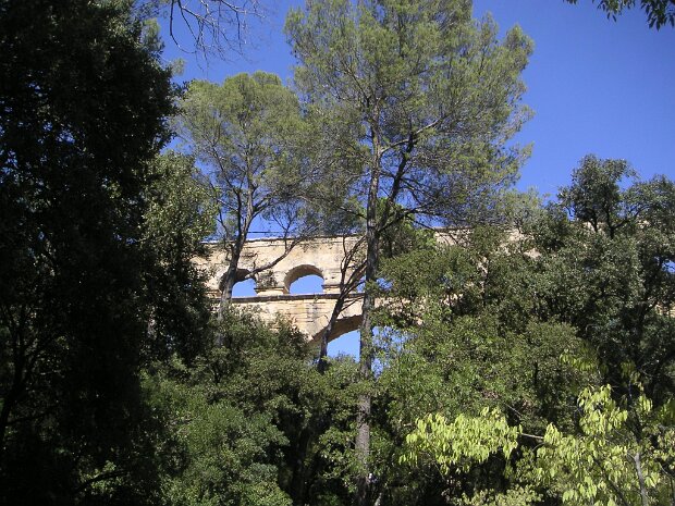 Avignon