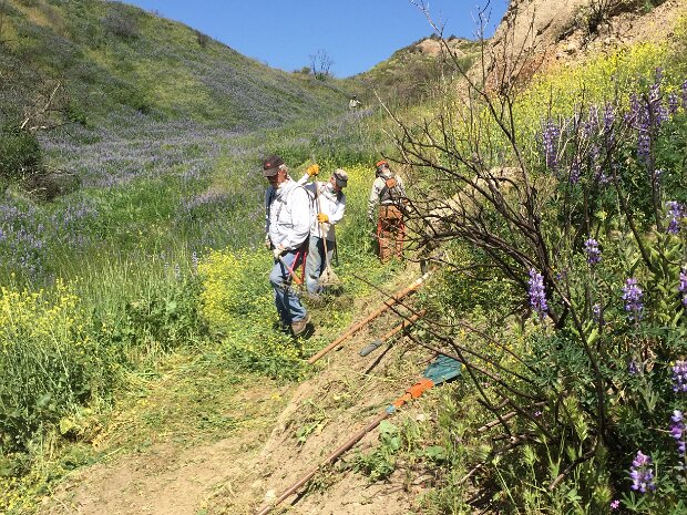 Trail Work