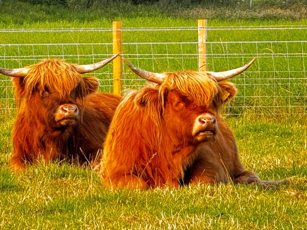 Scotland Outlander Tour