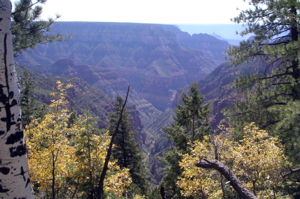 2006 Grand Canyon001_edited-1