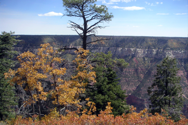 2006 Grand Canyon004_edited-1