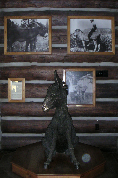 2006 Grand Canyon017_edited-1