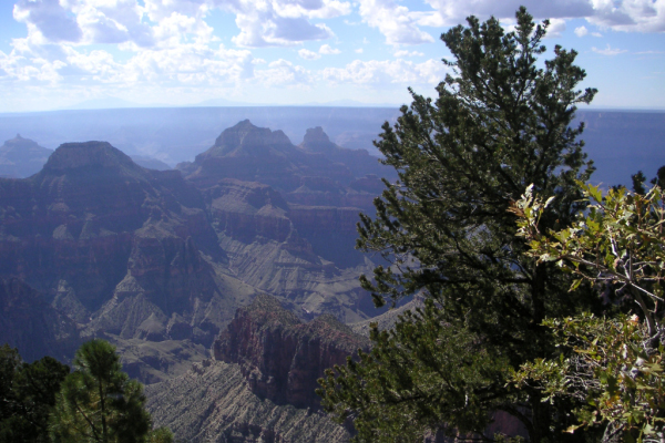 North Rim009_edited-1