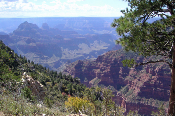 North Rim012_edited-1