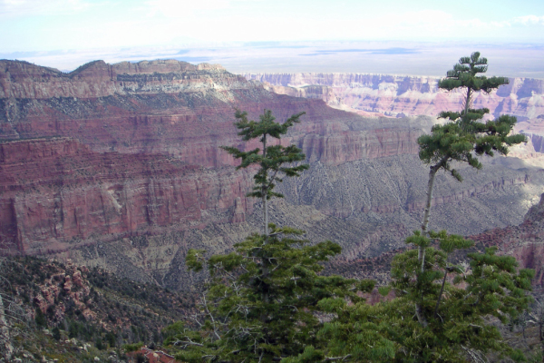 North Rim030_edited-1