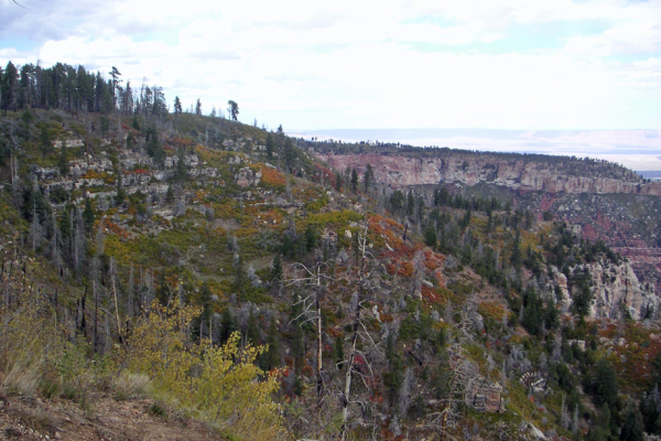 North Rim031_edited-1