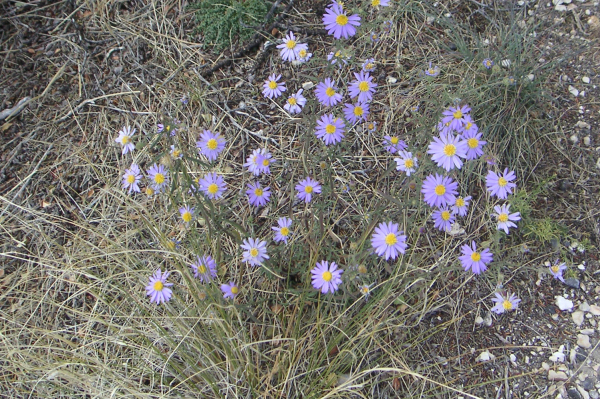 North Rim050_edited-1