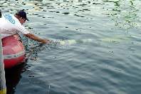Dennis sends the fish on it's way, thinking 'maybe it will just stay down there this time...'