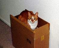 Felix upacking the PC sound system