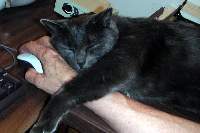 Mouser