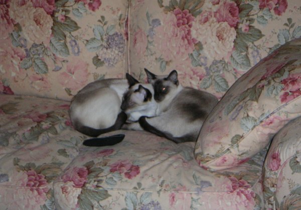 Franny and Zooey