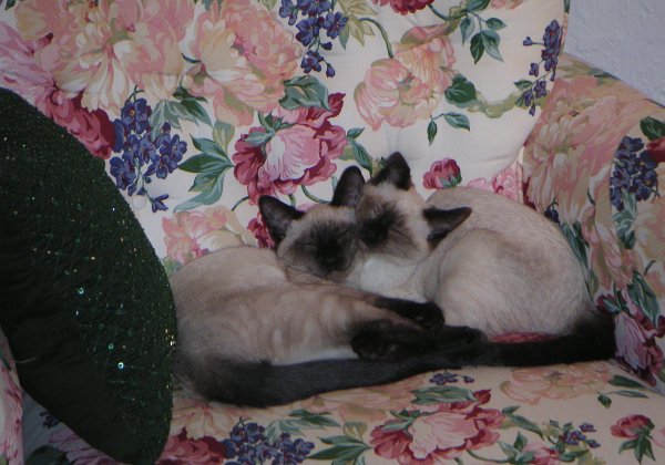 George and Gracie